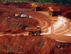 Desakan Global: Hentikan Pendanaan dan Pembelian Nikel dari Harita Group